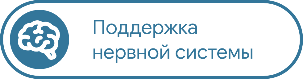 Поддержка нервной системы